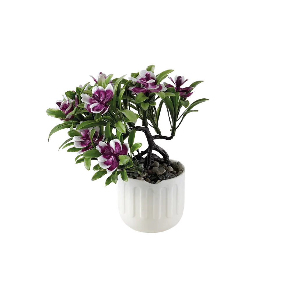 Eva magenta flower with white vase