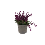 Eva magenta plant with ribbed design beige vase