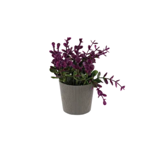 Eva magenta plant with ribbed design beige vase