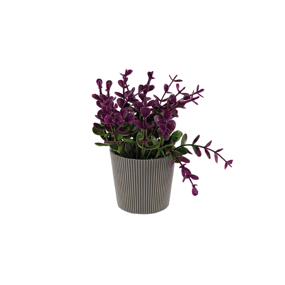 Eva magenta plant with ribbed design beige vase