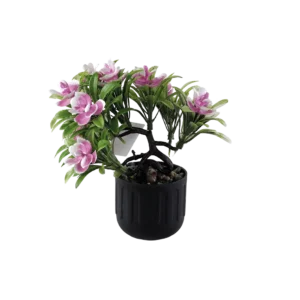 Eva pink flower with black vase