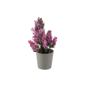 Eva pink & green plant with beige vase