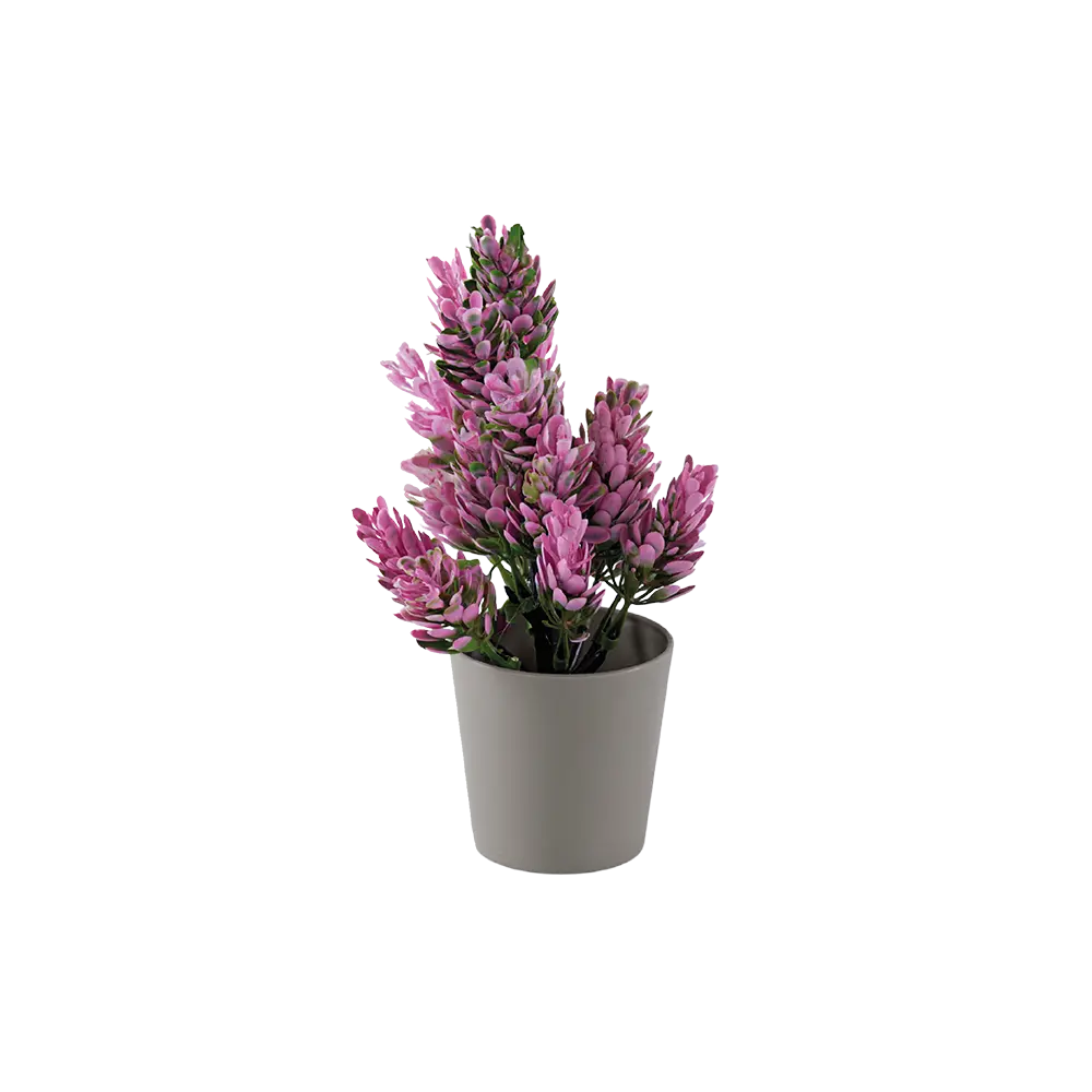 Eva pink & green plant with beige vase