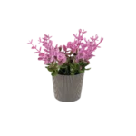 Eva pink plant with ribbed design beige vase