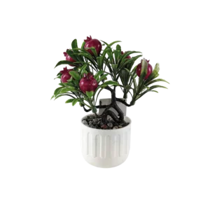 Eva pomegranate small tree with black vase