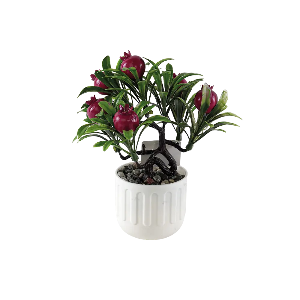 Eva-Pomegranate-Small-Tree-with-Black-Vase Eva pomegranate small tree with black vase