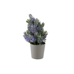 Eva purple & green plant with beige vase