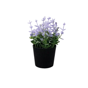 Eva purple & green plant with ribbed design black vase