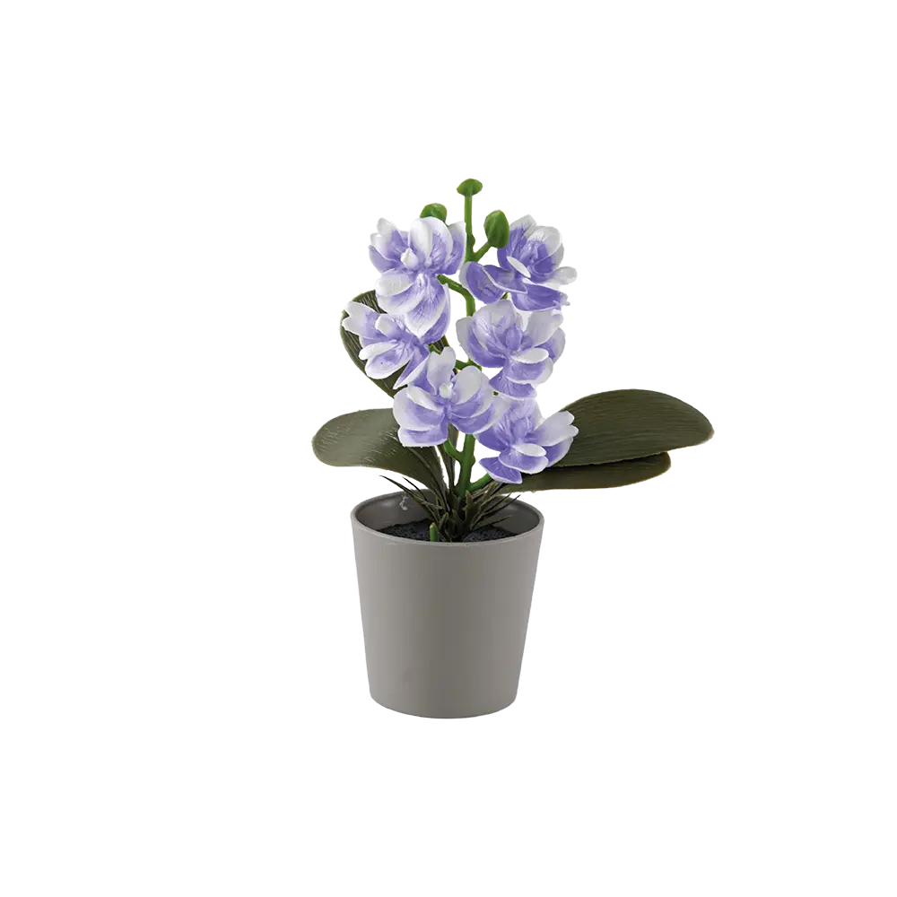 Eva purple & white flower with beige vase