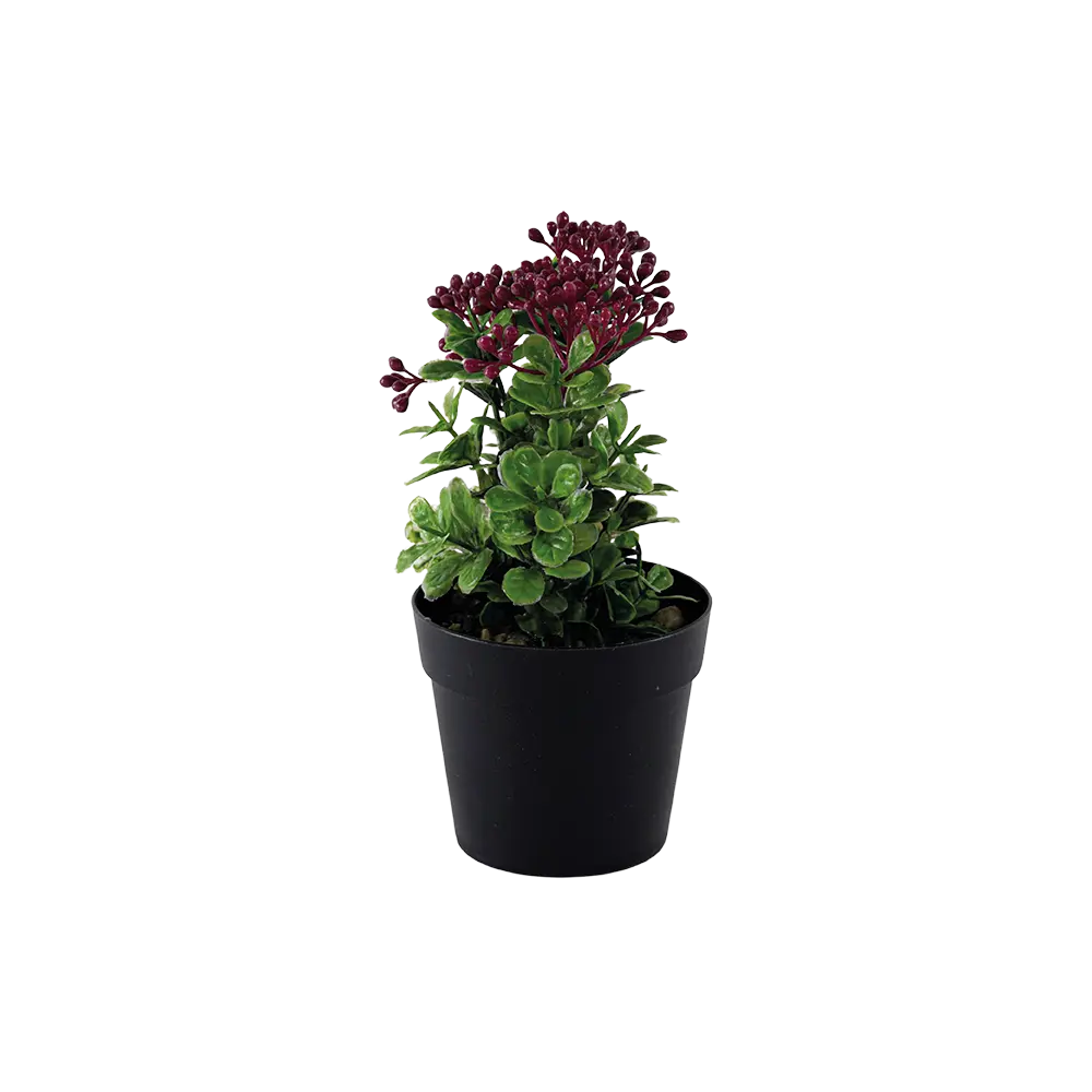 Eva red & green plant with black vase