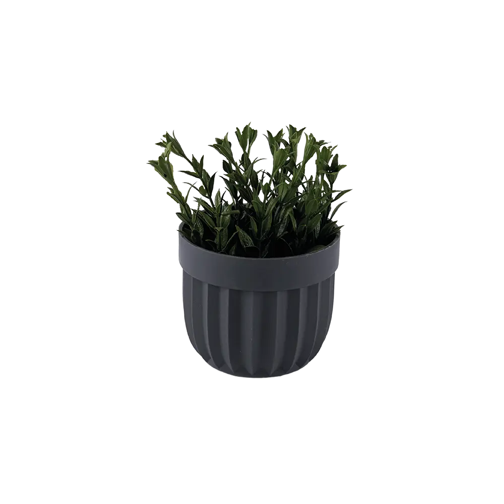 Eva salvia green plant with grey vase