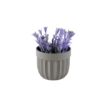 Eva salvia purple plant with beige vase