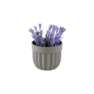 Eva salvia purple plant with beige vase