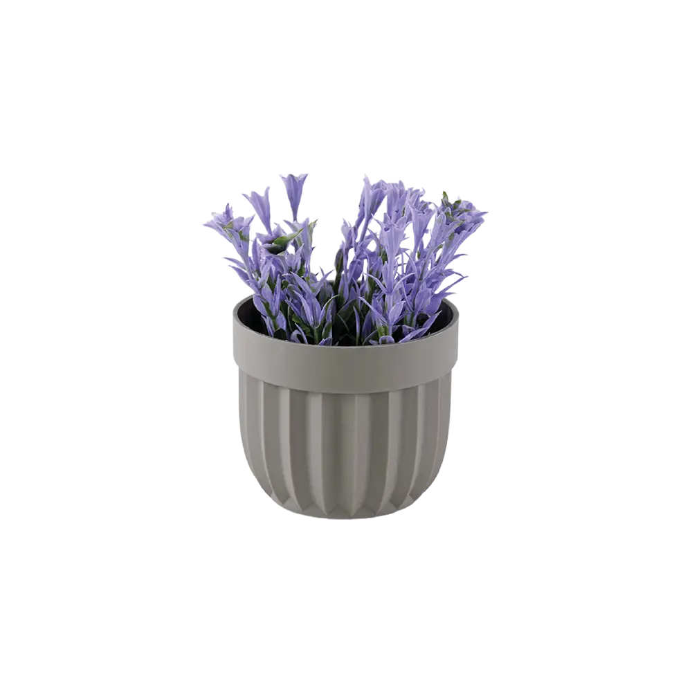 Eva salvia purple plant with beige vase