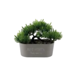 Eva small green tree with rectangular beige vase