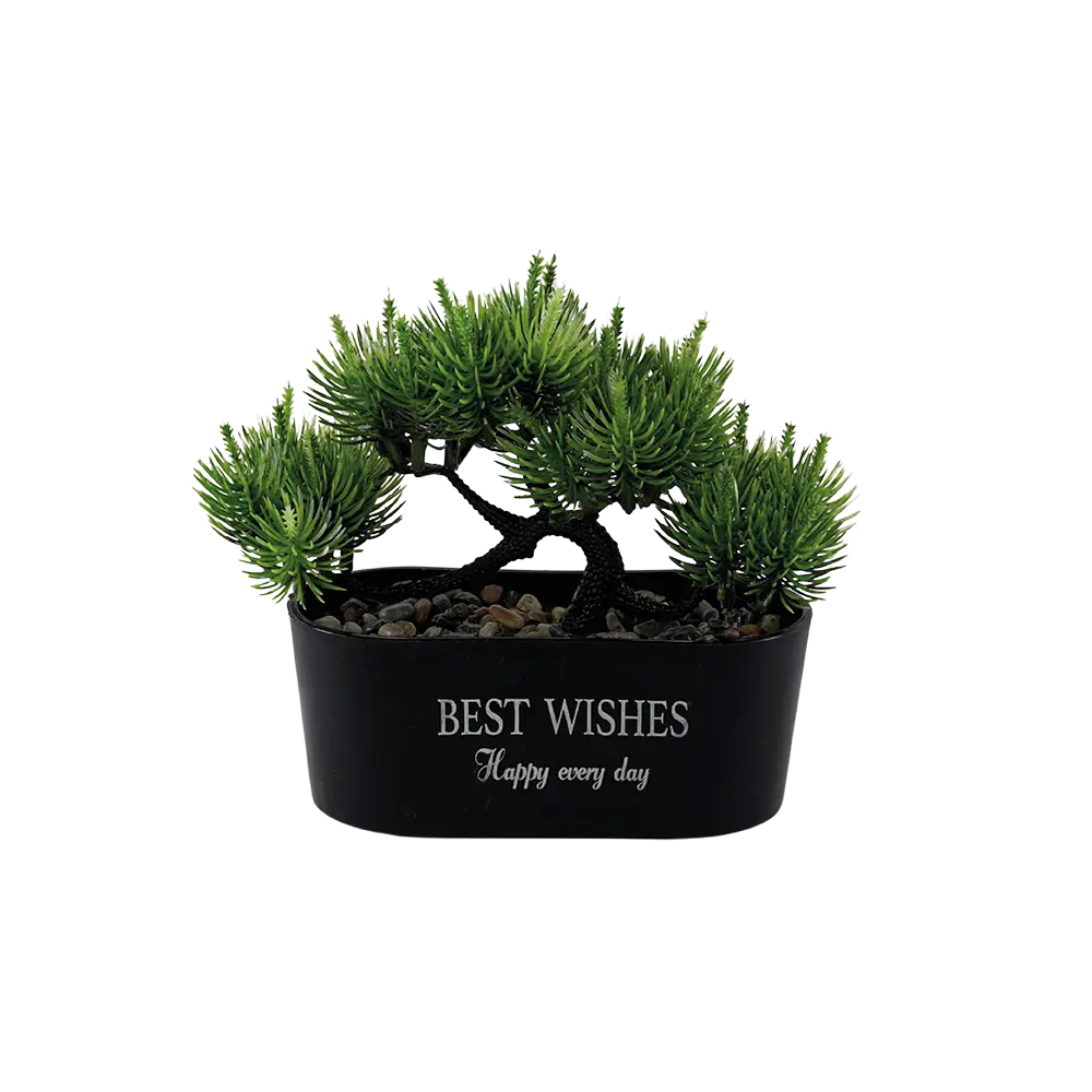 Eva-Small-Green-Tree-with-Rectangular-Black-Vase Eva small green tree with rectangular black vase