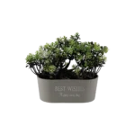 Eva small tree with rectangular beige vase