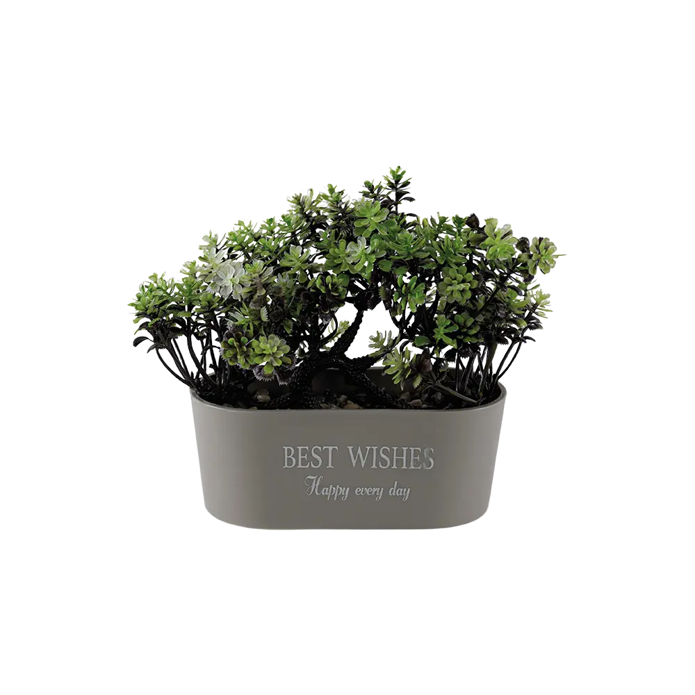 Eva small tree with rectangular beige vase