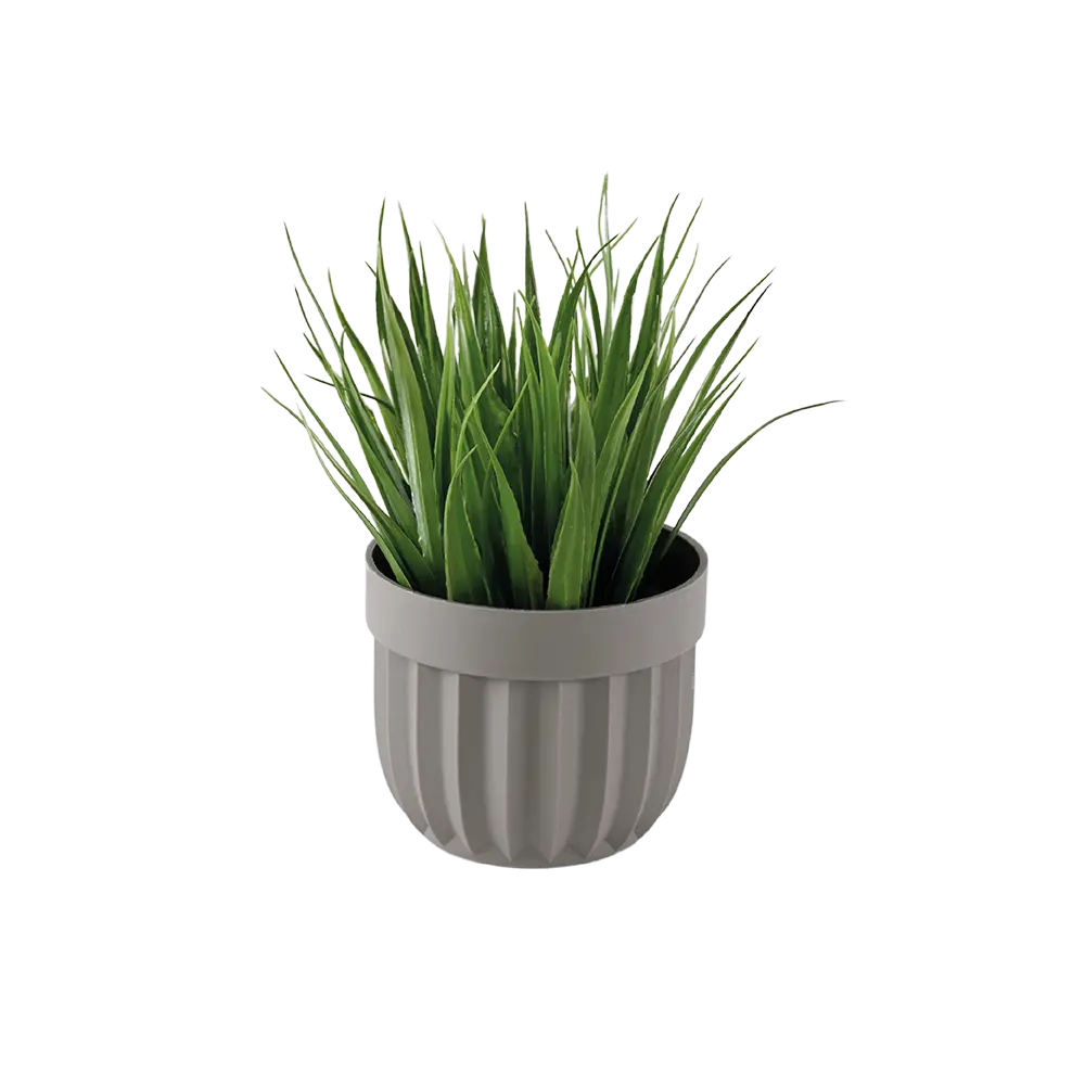 Eva-Spiky-Grass-Plant-with-Beige-Vase Eva spiky grass plant with beige vase