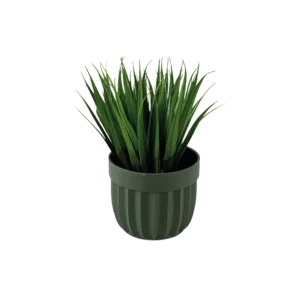 Eva spiky grass plant with green vase
