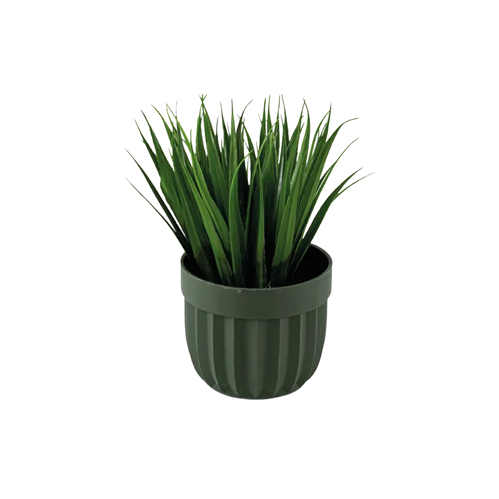 Eva spiky grass plant with green vase
