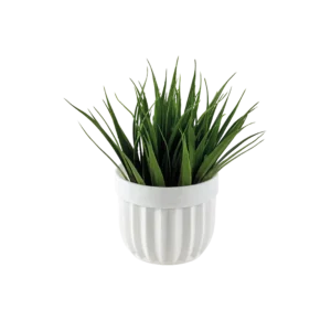 Eva spiky grass plant with white vase
