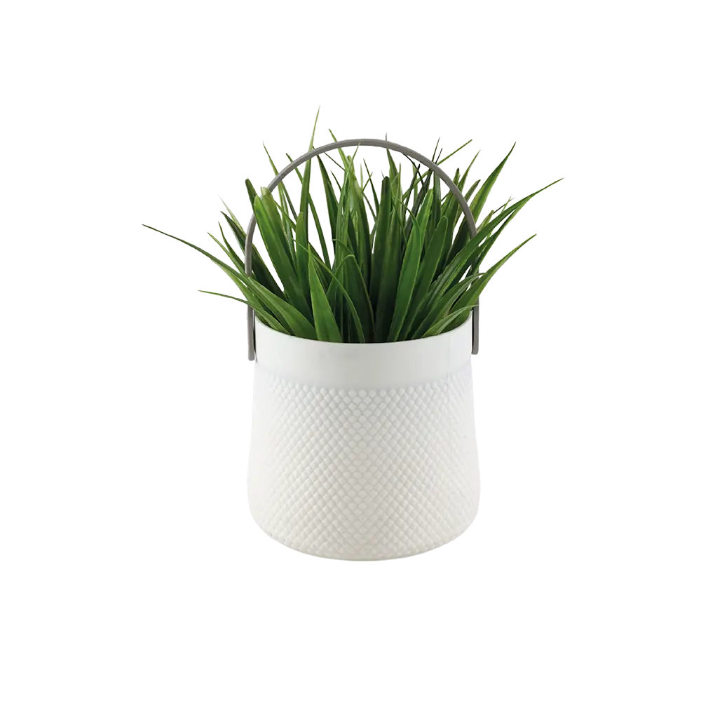 Eva spiky grass plant with white vase & handle