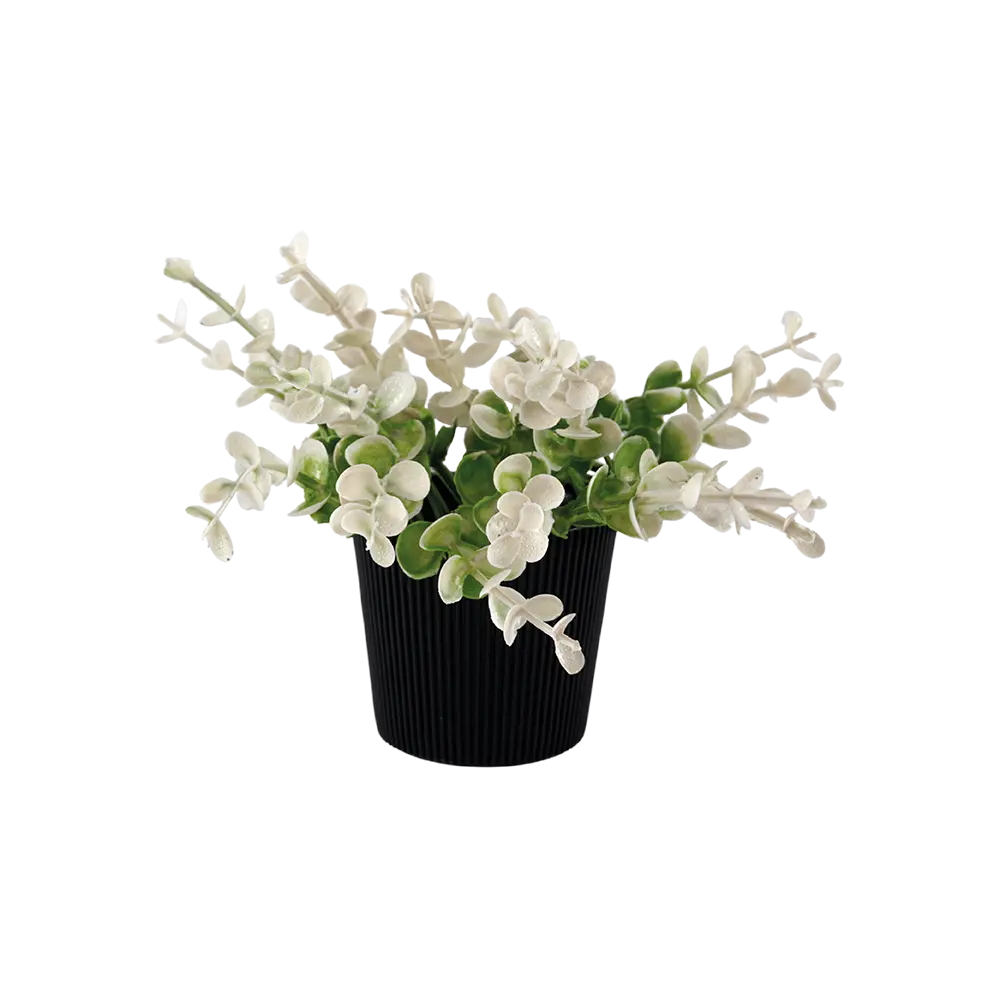 Eva white & green plant with ribbed design black vase