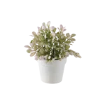 Eva white & green plant with white vase