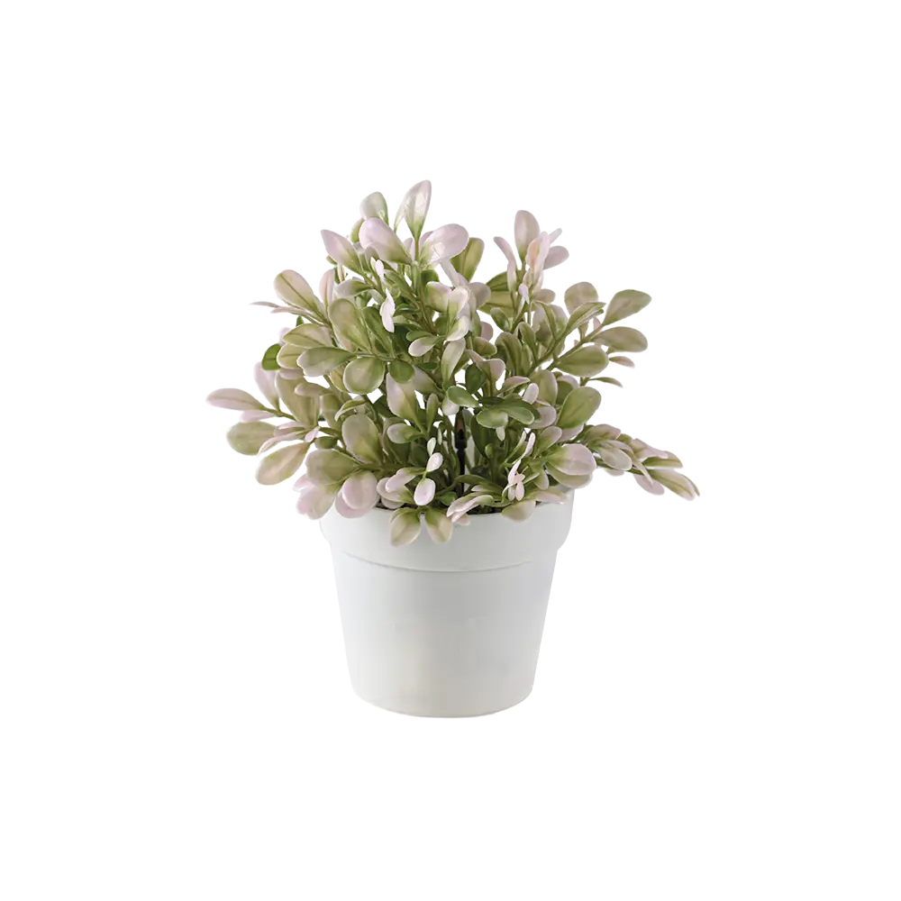 Eva white & green plant with white vase