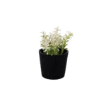 Eva white plant with ribbed design beige vase