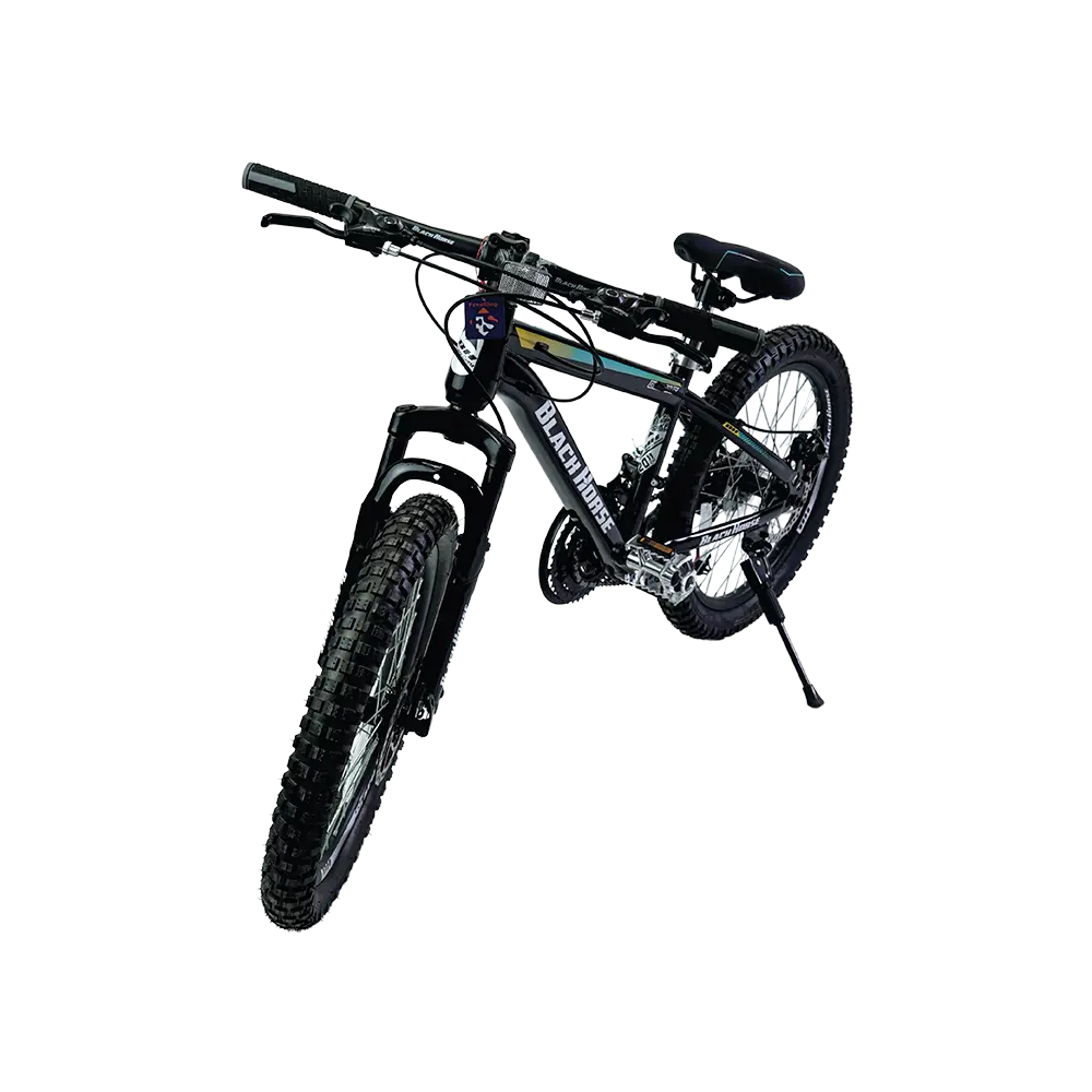 Beowulf 2 wheels 20in black & blue bicycle