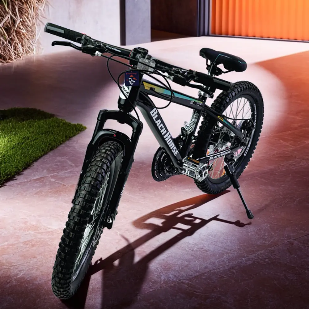 Beowulf 2 wheels 20in black & blue bicycle1