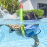 Bestway 24036 blue crusader essential snorkel mask2