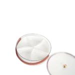 Circular compartment plastic food storage caddy with handle & lid4