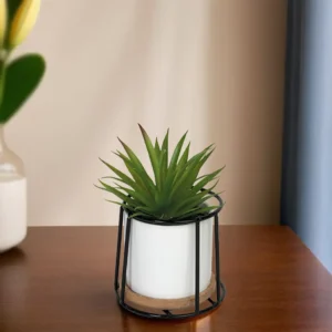 Green plant 10x10cm with porcelain white vase & black metal frame1