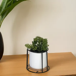 Green plant 10x10cm with porcelain white vase & metal frame1