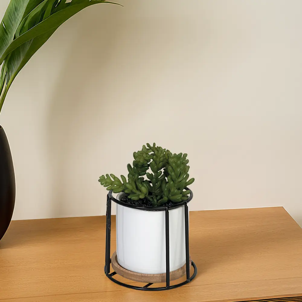 Green plant 10x10cm with porcelain white vase & metal frame1