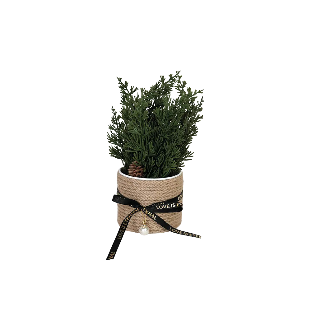 Green plant 10x25cm with straw vase & black ribbon