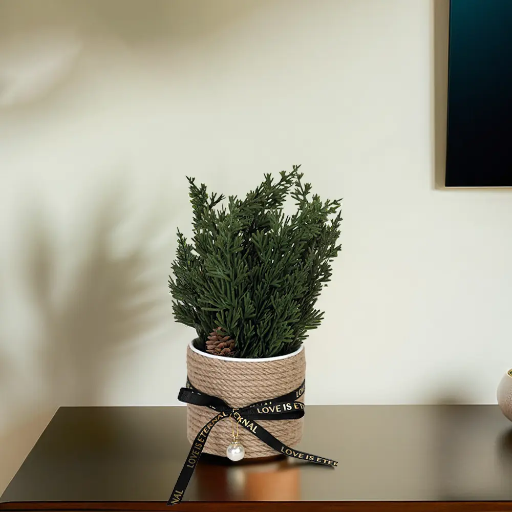 Green plant 10x25cm with straw vase & black ribbon1