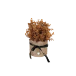 Orange plant 10x25cm with straw vase & black ribbon