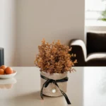 Orange-Plant-10x25cm-with-Straw-Vase-&-Black-Ribbon1 Orange plant 10x25cm with straw vase & black ribbon1