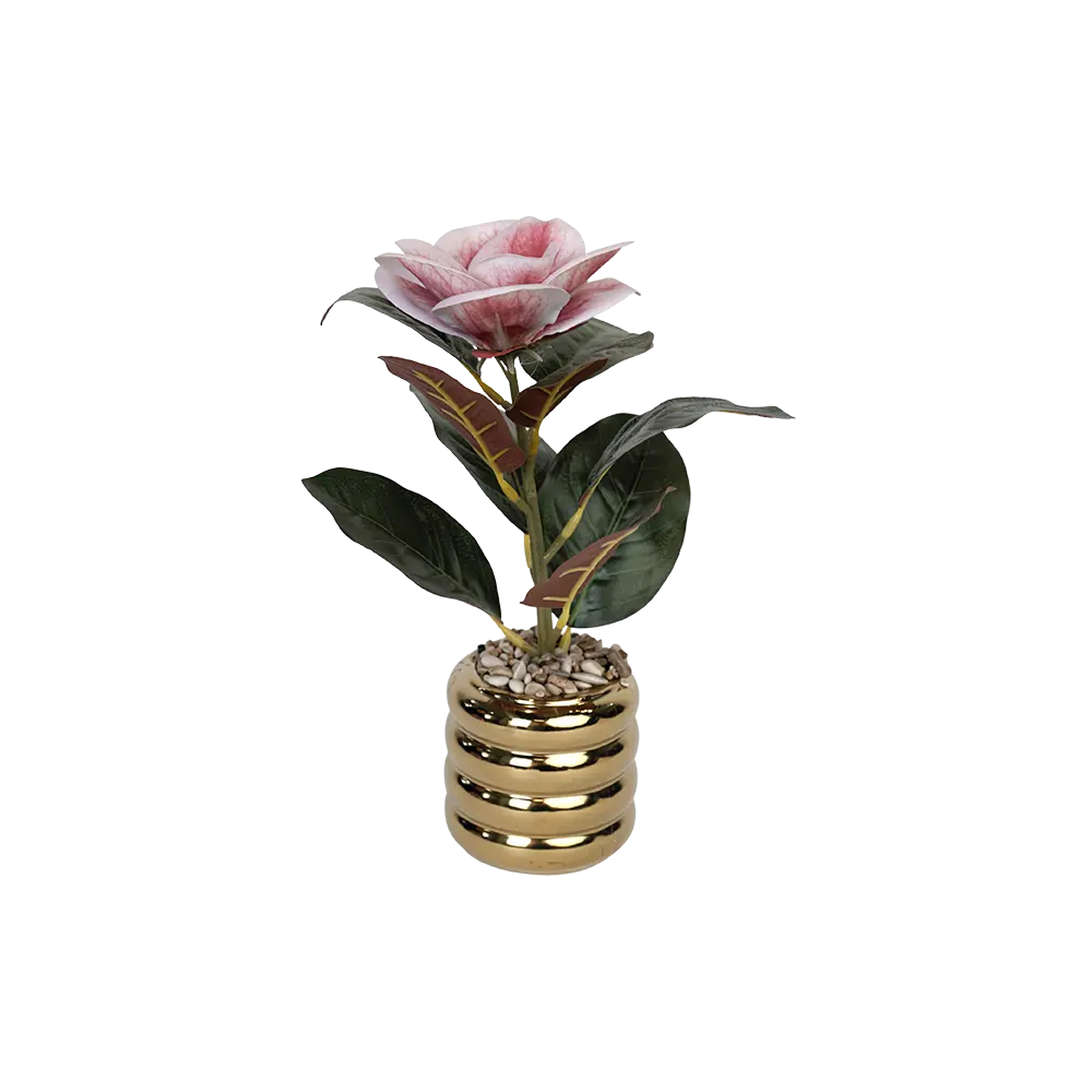 Rose pink flower 7x17cm with golden vase