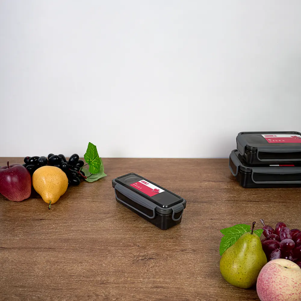 Bentley 395ml airtight rectangular 2 sections black lunch box