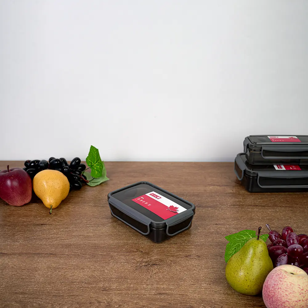 Bentley-600ml-Airtight-Rectangular-Black-Lunch-Box Bentley 600ml airtight rectangular black lunch box