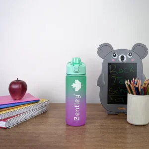Bentley 750ml aqua & purple water bottle