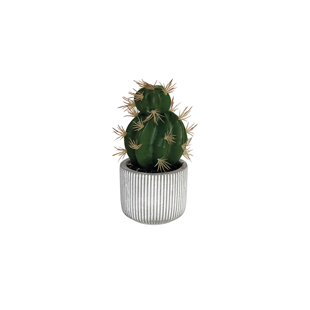 Cactus-Plant-16cm-with-Ceramic-Vase Cactus plant 16cm with ceramic vase