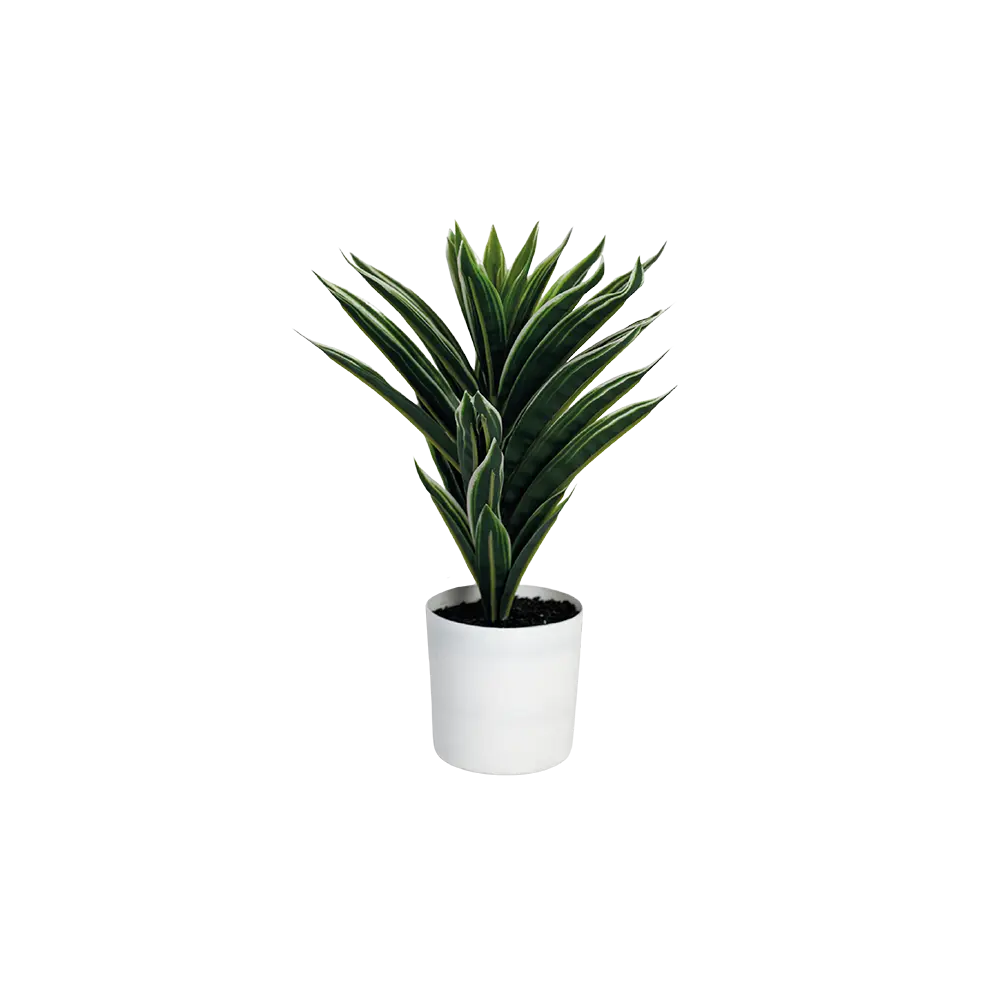 Green plant 35cm with plastic white vase