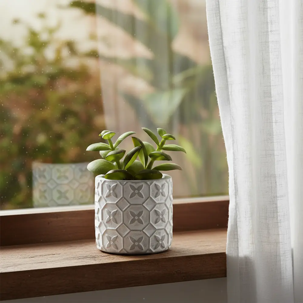 Succulent plant 10.5cm with ceramic vase1