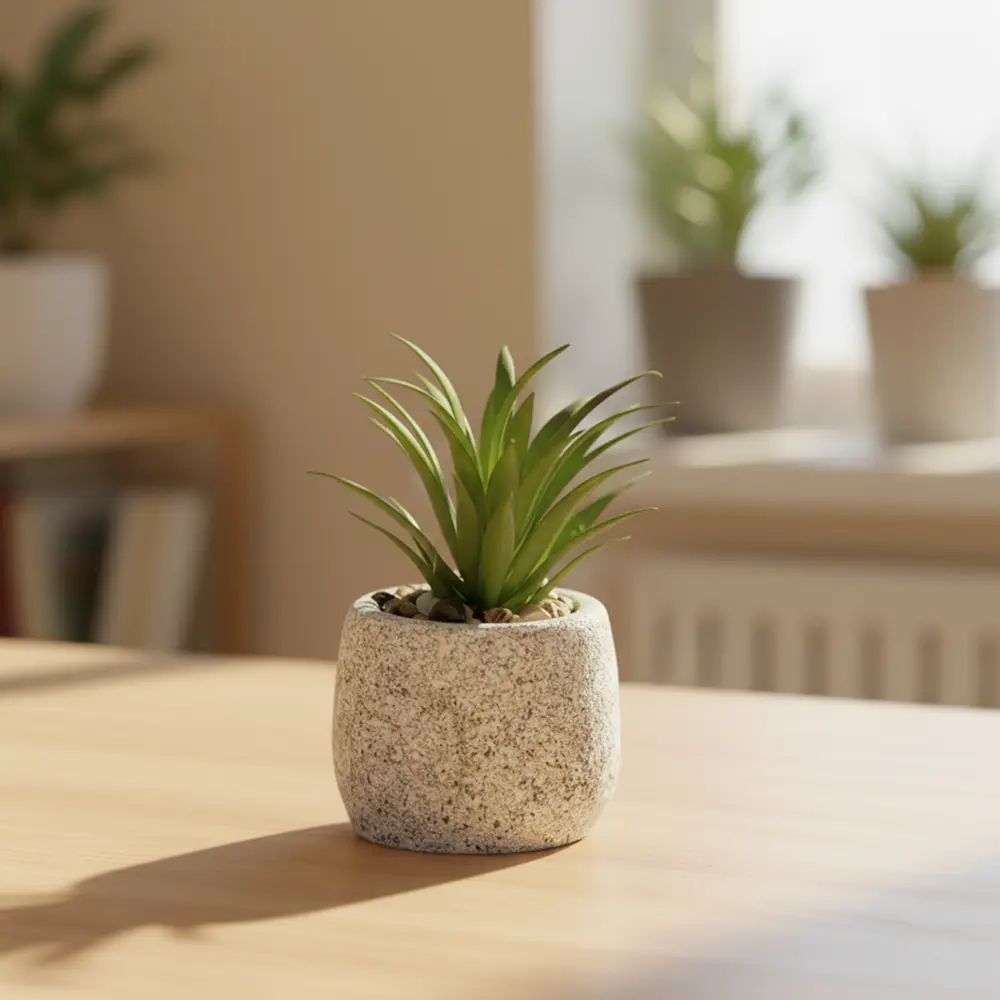 Succulent-Plant-10cm-with-Ceramic-Vase1 Succulent plant 10cm with ceramic vase1